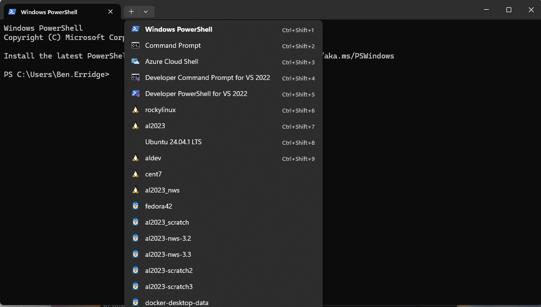 Windows Terminal WSL Dropdown