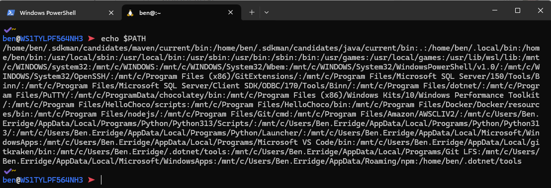 WSL PATH with Windows Executables